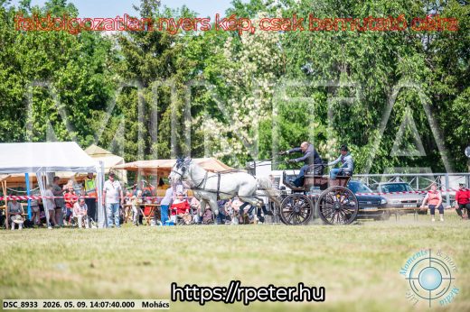 Mintakép 20260509-745