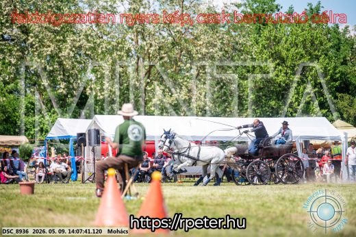 Mintakép 20260509-748