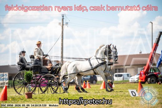 Mintakép 20260509-754