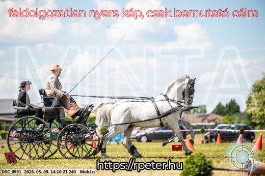 Mintakép 20260509-755