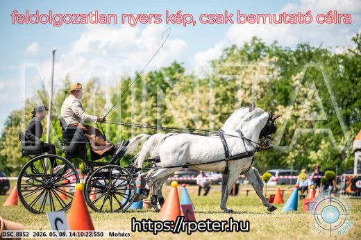 Mintakép 20260509-756