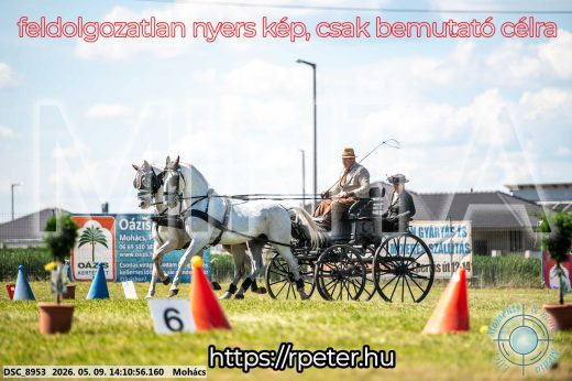 Mintakép 20260509-757