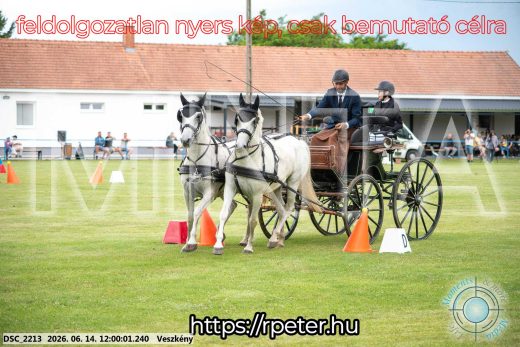 Mintakép 20260614-260