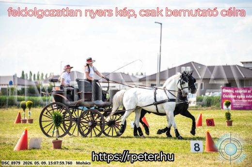 Mintakép 20260509-767