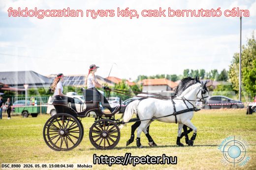 Mintakép 20260509-768