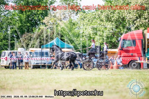 Mintakép 20260509-769