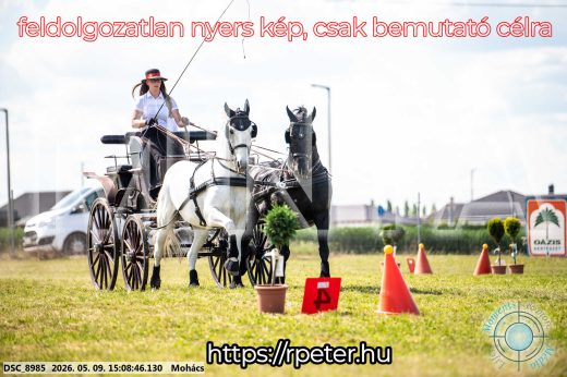 Mintakép 20260509-773