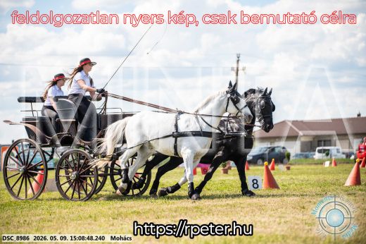 Mintakép 20260509-774
