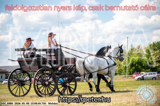 Mintakép 20260509-776