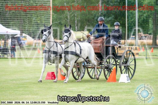 Mintakép 20260614-262