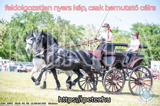 Mintakép 20260509-780