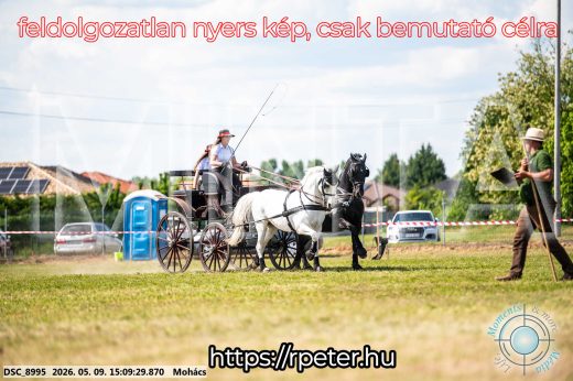 Mintakép 20260509-783