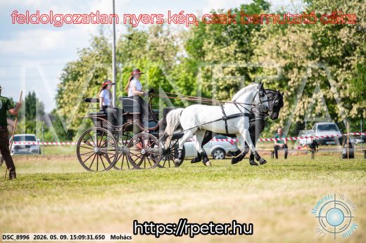Mintakép 20260509-784