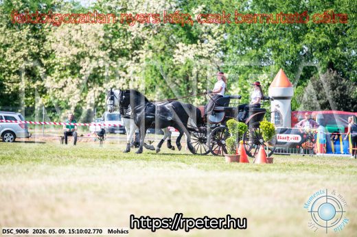 Mintakép 20260509-787
