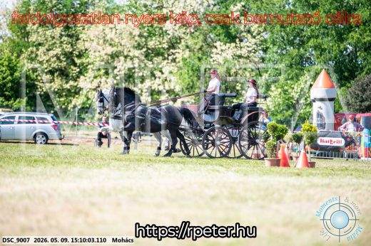 Mintakép 20260509-788