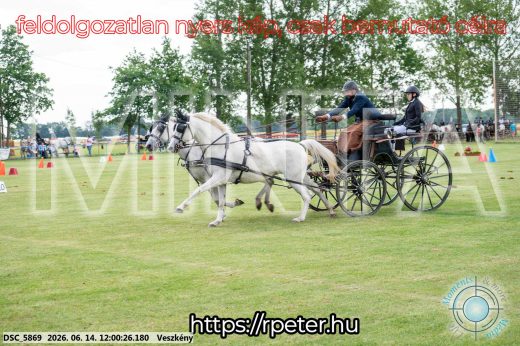 Mintakép 20260614-263