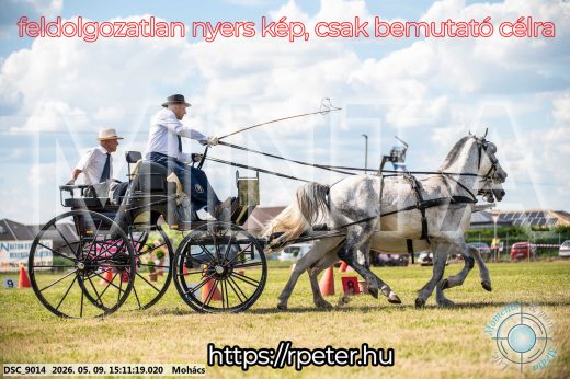 Mintakép 20260509-792