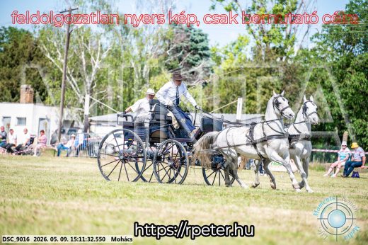 Mintakép 20260509-794