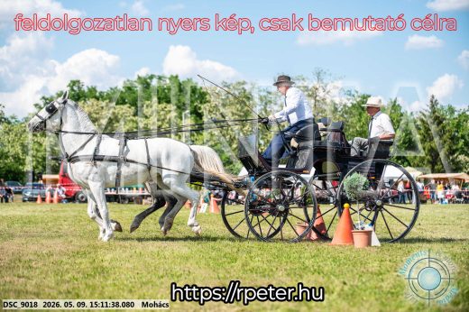 Mintakép 20260509-795
