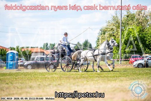 Mintakép 20260509-796