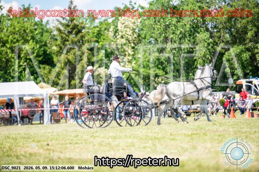 Mintakép 20260509-798