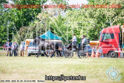Mintakép 20260509-803