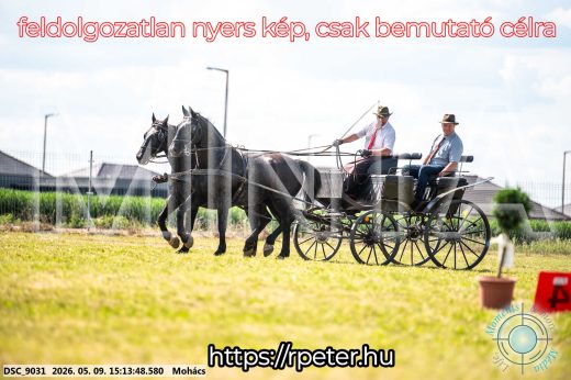 Mintakép 20260509-804