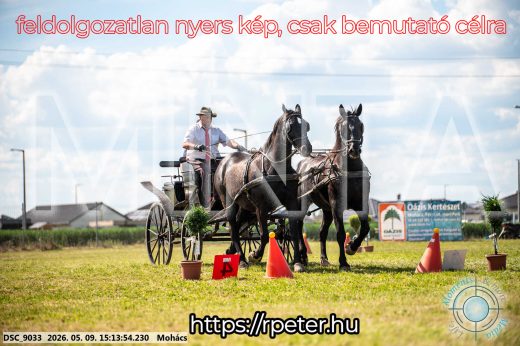 Mintakép 20260509-805