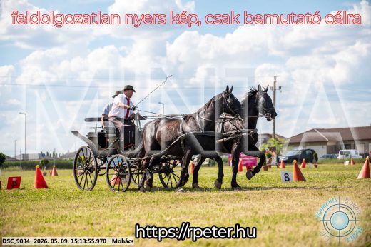 Mintakép 20260509-806