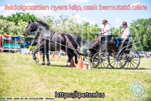 Mintakép 20260509-810