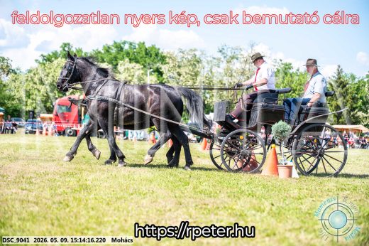 Mintakép 20260509-811
