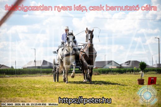 Mintakép 20260509-815
