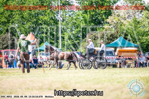 Mintakép 20260509-821