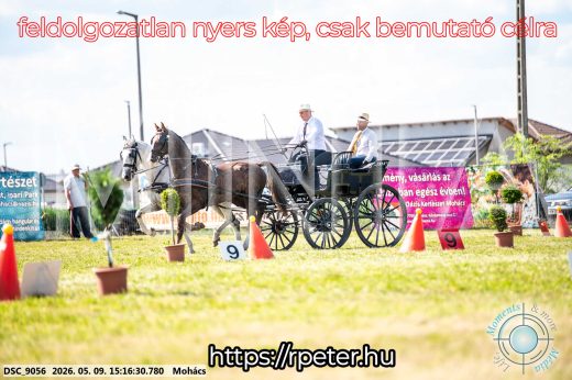 Mintakép 20260509-825