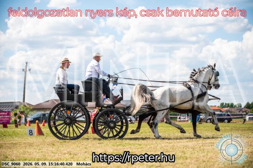 Mintakép 20260509-827