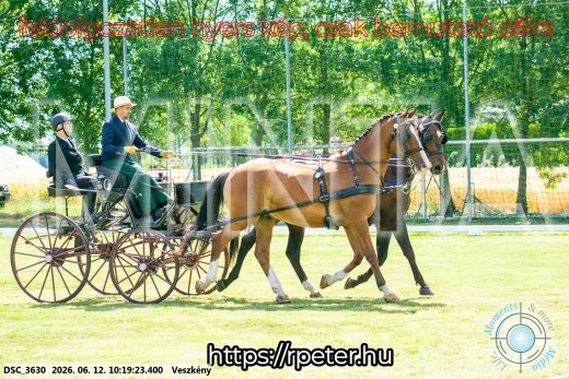 Mintakép 20260612-396