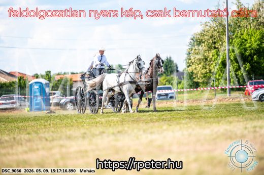 Mintakép 20260509-832