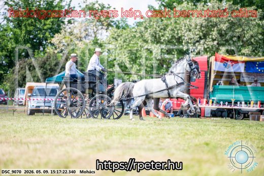Mintakép 20260509-836