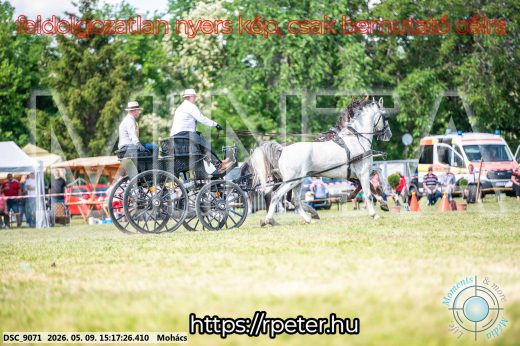 Mintakép 20260509-837