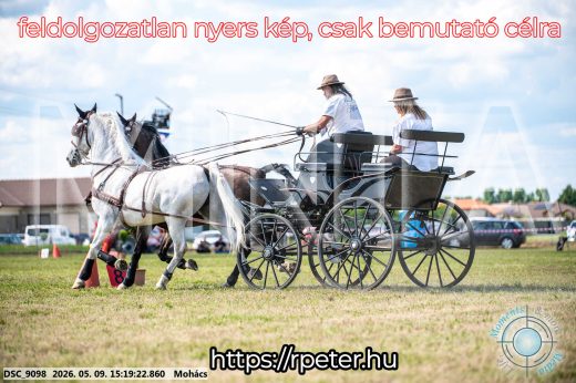 Mintakép 20260509-853