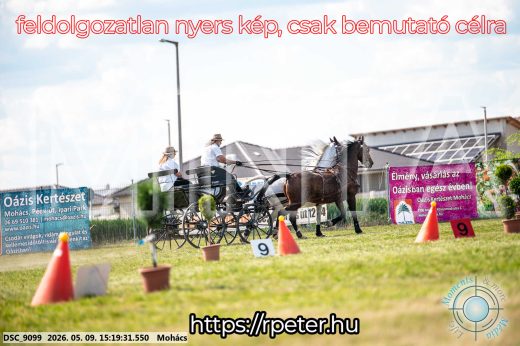Mintakép 20260509-854