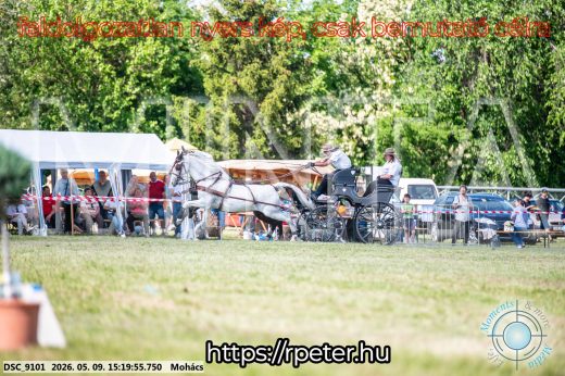 Mintakép 20260509-856