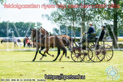 Mintakép 20260612-399