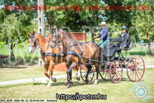 Mintakép 20260612-400