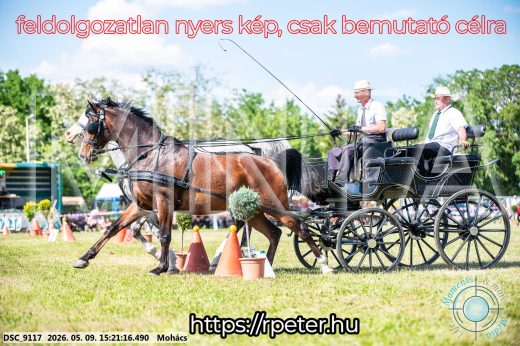 Mintakép 20260509-869