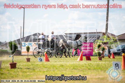 Mintakép 20260509-870