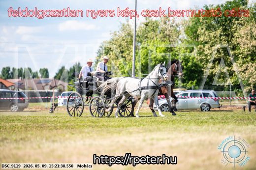 Mintakép 20260509-871