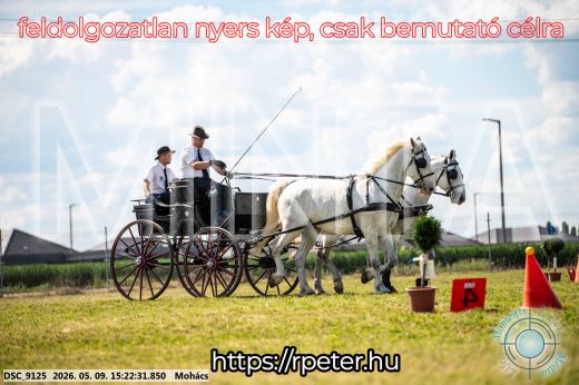 Mintakép 20260509-875