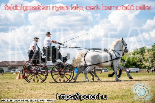 Mintakép 20260509-882