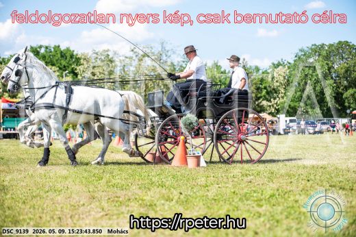Mintakép 20260509-885
